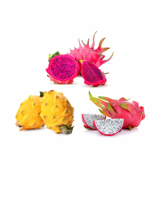 Dragonfruit Selection Box (Pitaya variety Box) Nutrition Kingz Exotics Ltd