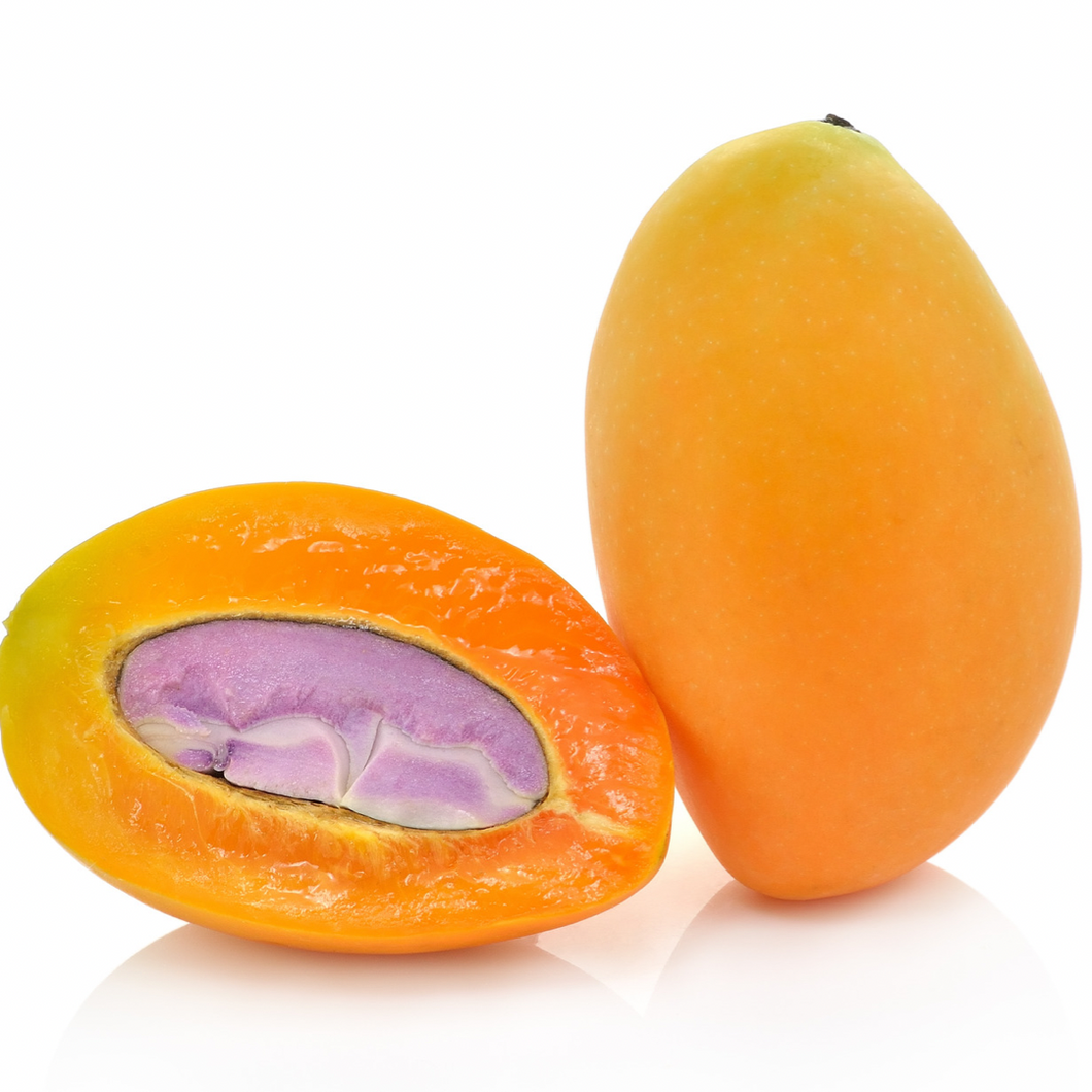Marian Plum (Plum Mango) Gandaria Nutrition Kingz Exotics Ltd
