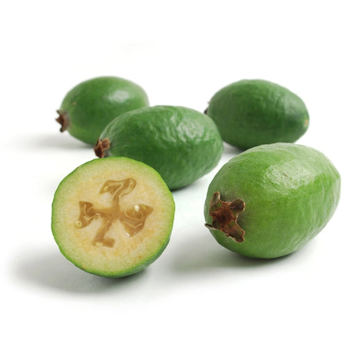 Feijoa (Pineapple Guava) Nutrition Kingz Exotics Ltd