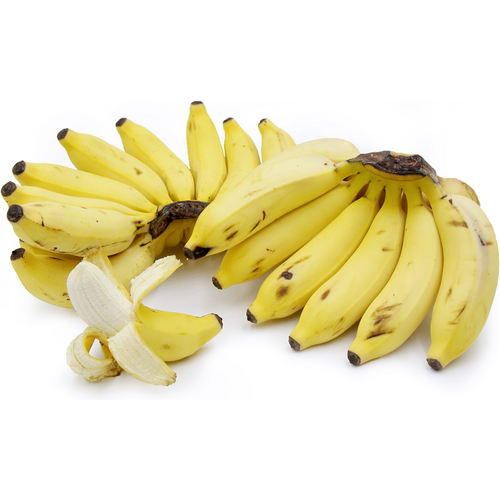 Apple Banana - Manzano Nutrition Kingz Exotics Ltd