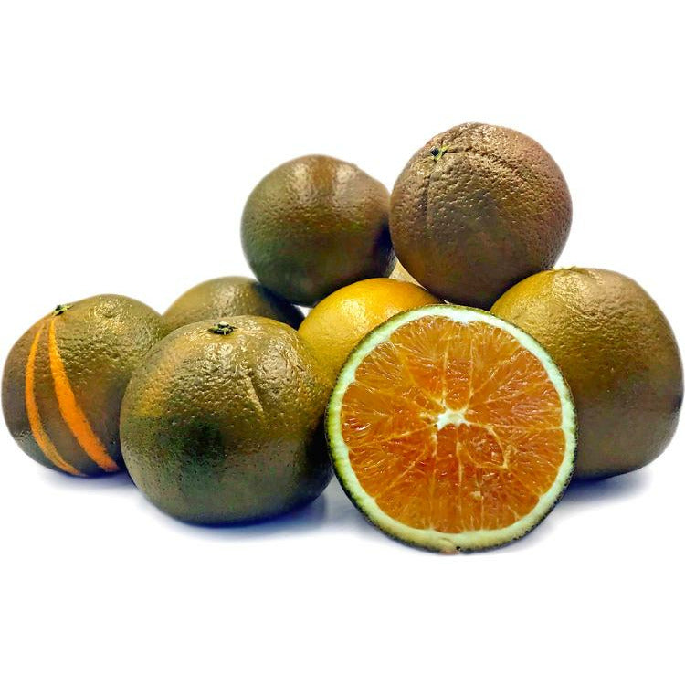 Navel Orange Nutrition Kingz Exotics Ltd