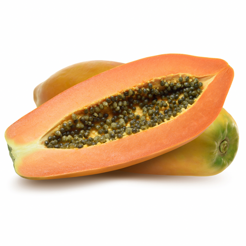 Giant Papaya (Paw Paw) Nutrition Kingz Exotics Ltd