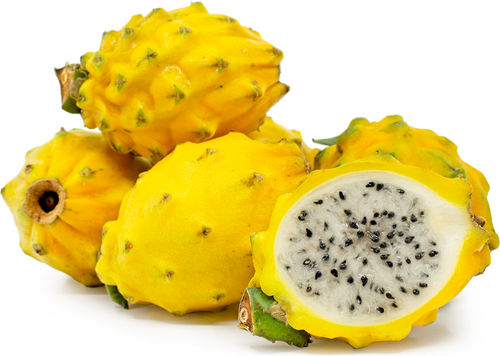 Dragonfruit Yellow (Pitaya) Nutrition Kingz Exotics Ltd