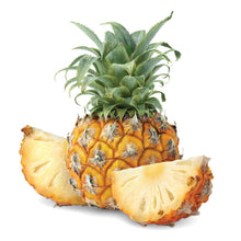 Load image into Gallery viewer, Baby Pineapple (Baby Queen Victorian Pineapple) Nutrition Kingz Exotics Ltd
